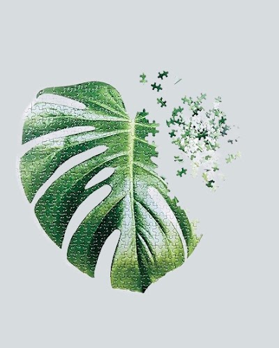 Doiy — Monstera Jigsaw Puzzle - 500 Pieces — Đồ chơi