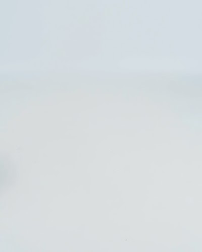 Ralph Lauren — The Polo Bear L'ours Polo - Green — Gấu bông